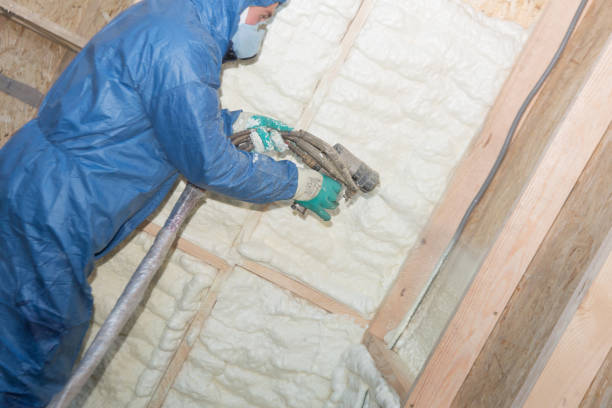 Best Batt and Roll Insulation  in Bristol, VA