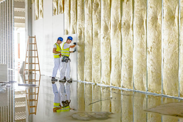 Best Insulation Air Sealing  in Bristol, VA